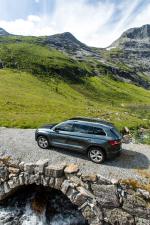 Skoda Kodiaq 2016 года (WW)